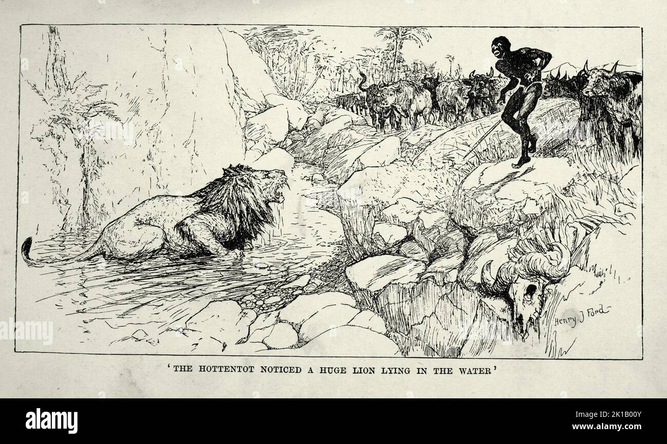 Vintage illustration African cattle hurder disturbing a lion at a watering hole, Victorian animal stories, 19th Century Stock Photo