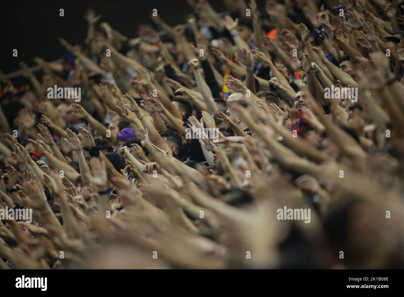 Shallow Depth of Field Selective Focus Details with FCSB Fotbal Club Steaua  Bucuresti Supporters during a Football Match Editorial Image - Image of  event, hooligan: 256209870