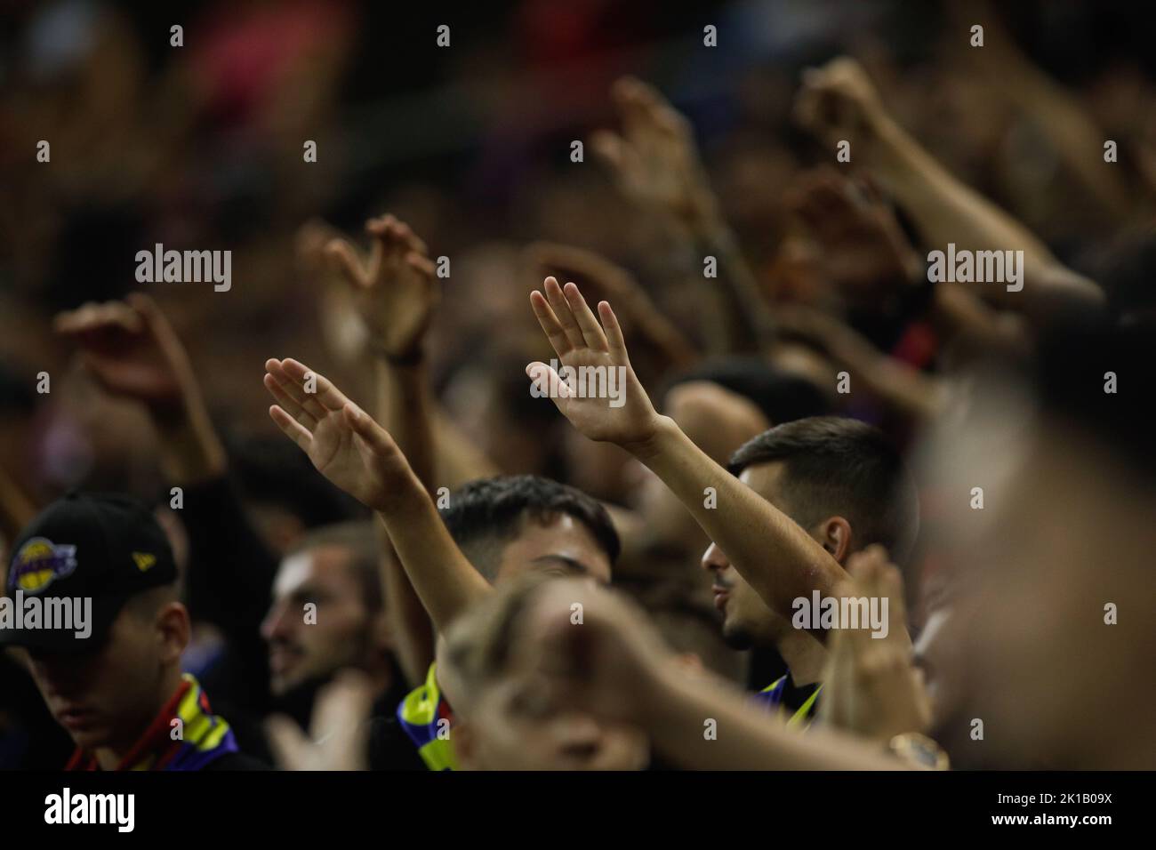 Shallow Depth of Field Selective Focus Details with FCSB Fotbal Club Steaua  Bucuresti Supporters during a Football Match Editorial Image - Image of  event, hooligan: 256209870