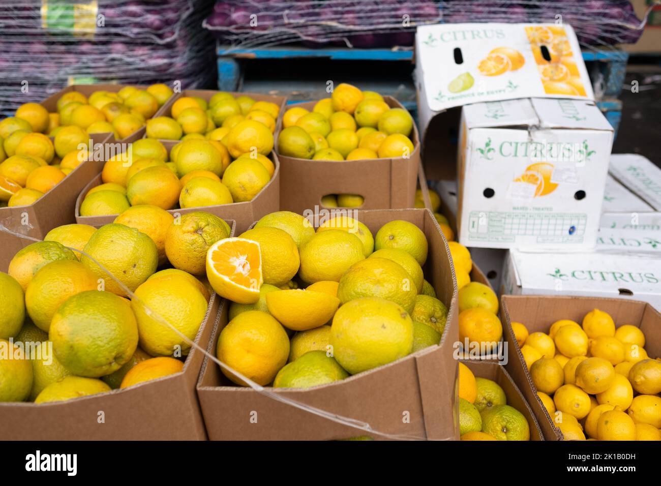 Boxes of oranges for sale at Paddy’s Fresh Food Market in Flemington