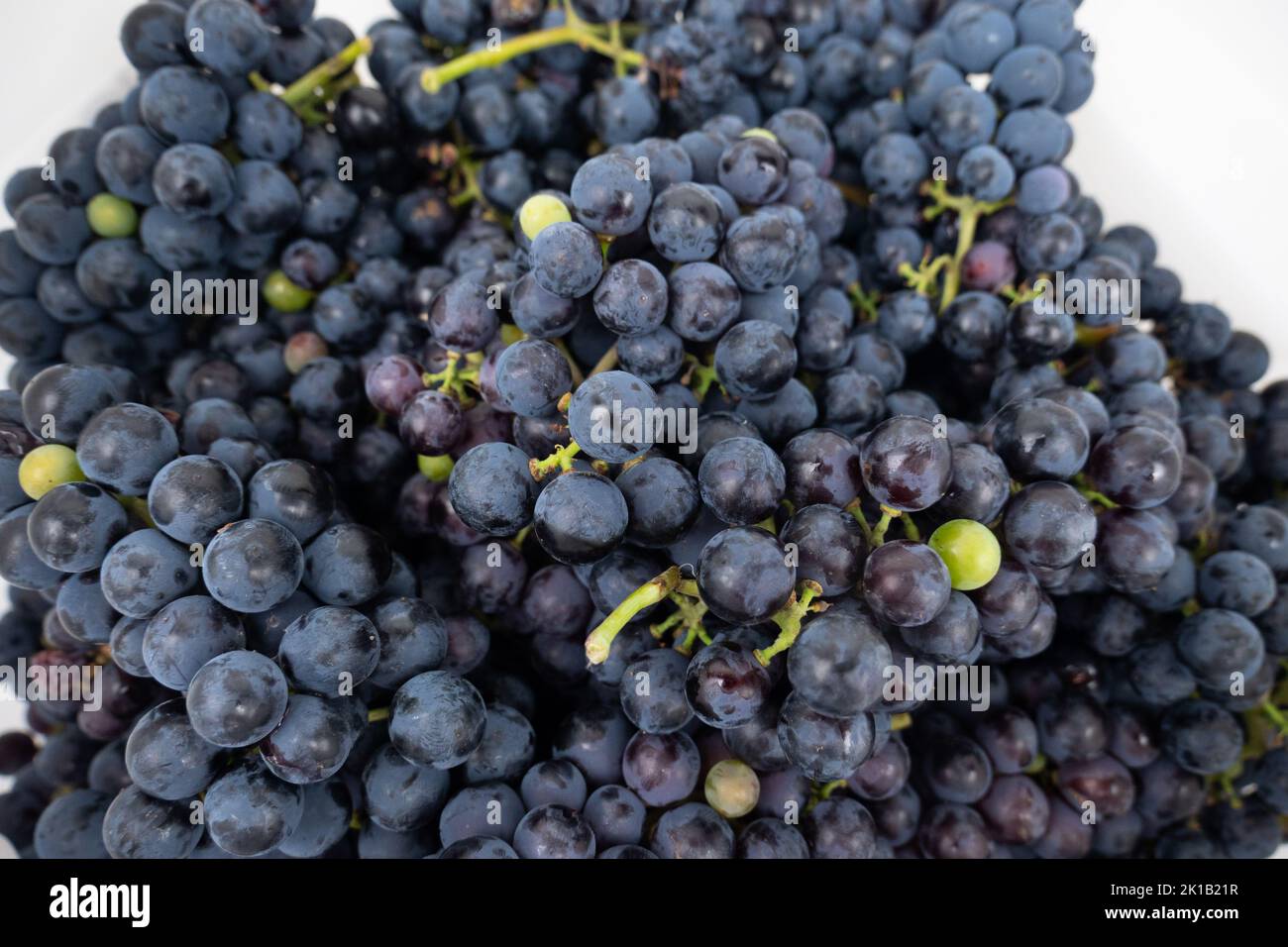 dark grapes for making wine on a white background closeup. Stock Photo