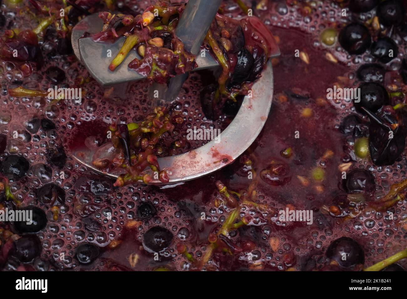 whipping grapes with a mixer in a barrel, the process of making homemade wine. Stock Photo