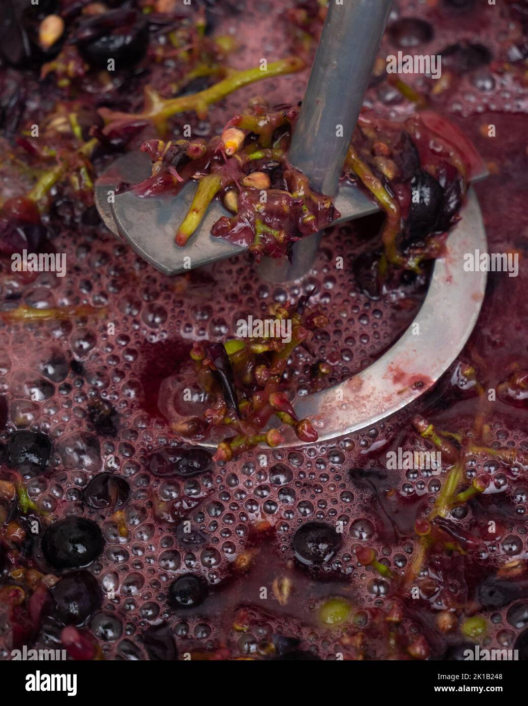 Mechanical pressure grapes hires stock photography and images Alamy