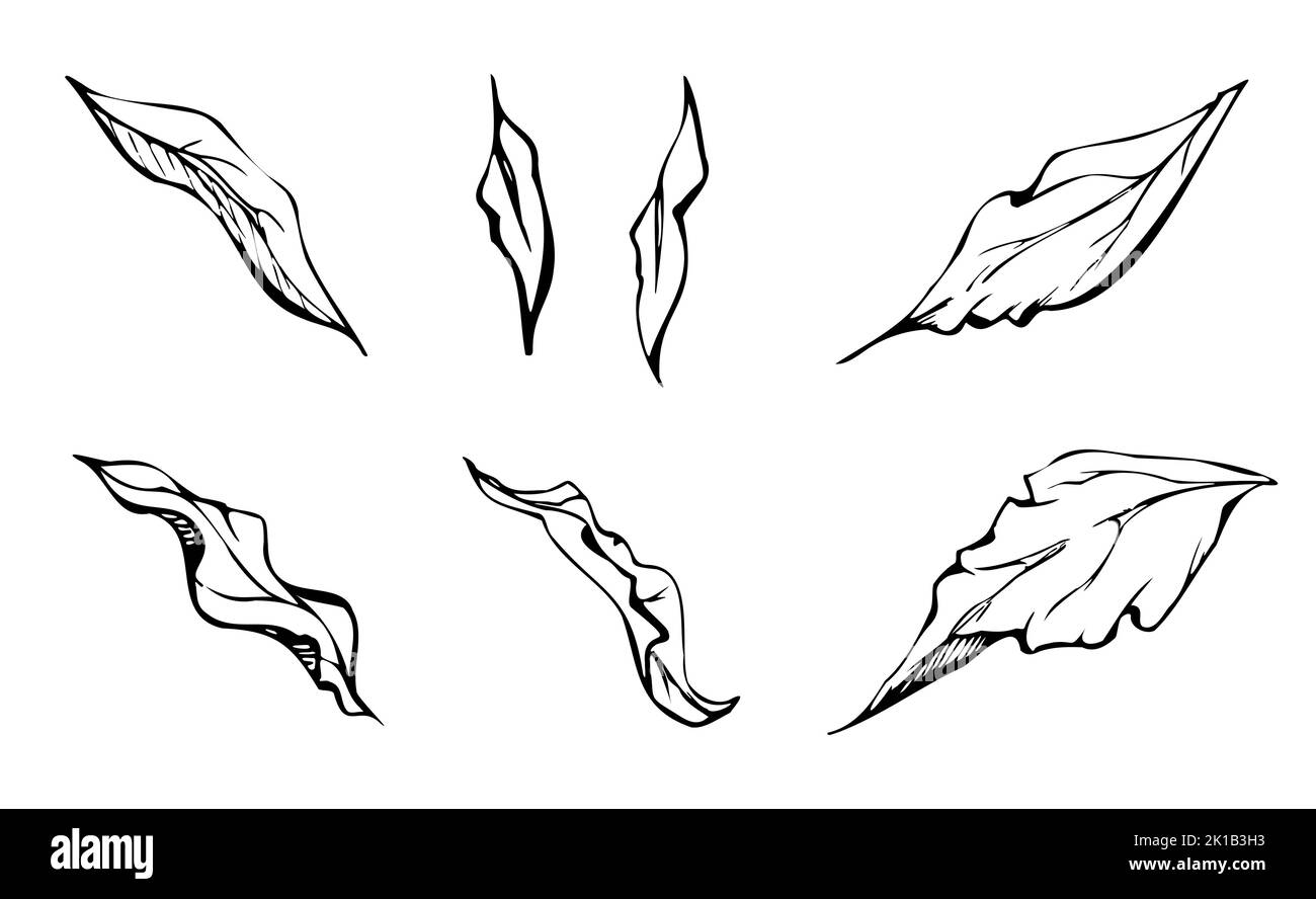 Set of hand drawn vector elements with peony flowers, buds and leaves ...