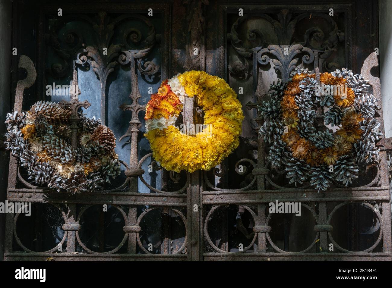 Old wreaths made from dry flowers and cones and put on tomb rusty metal gate in cemetery. Stock Photo