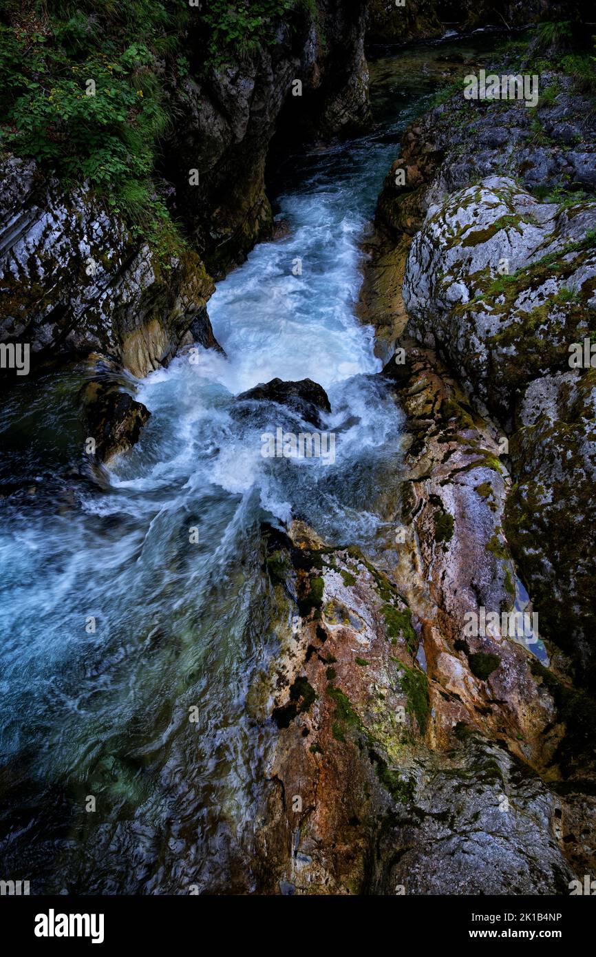 Radovna mountain river scenic nature abstract in the Vintgar Gorge in the Julian Alps, Triglav National Park, Slovenia. Stock Photo
