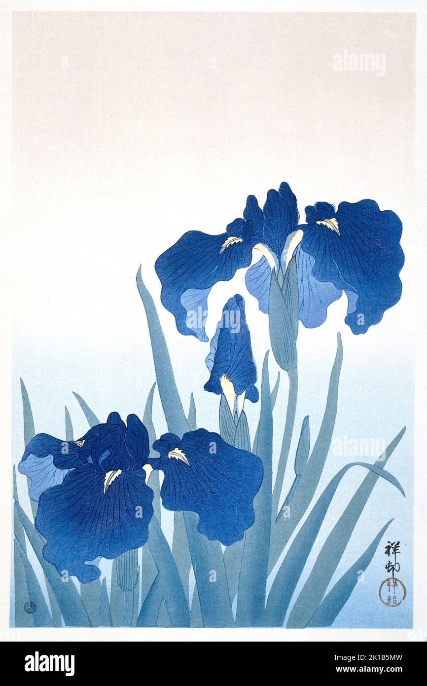 Ohara Koson - Irises Stock Photo
