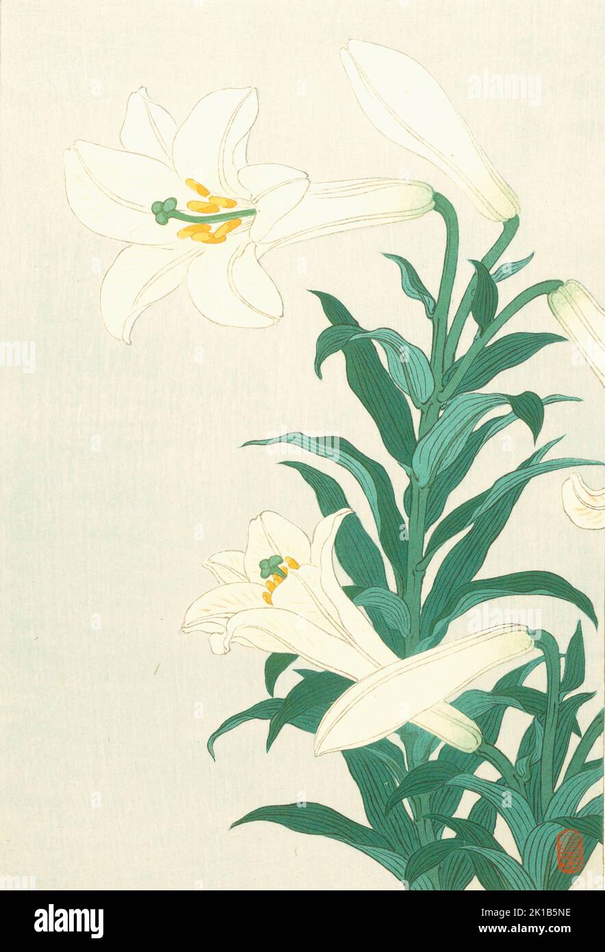 Ohara Koson - Lilies Stock Photo