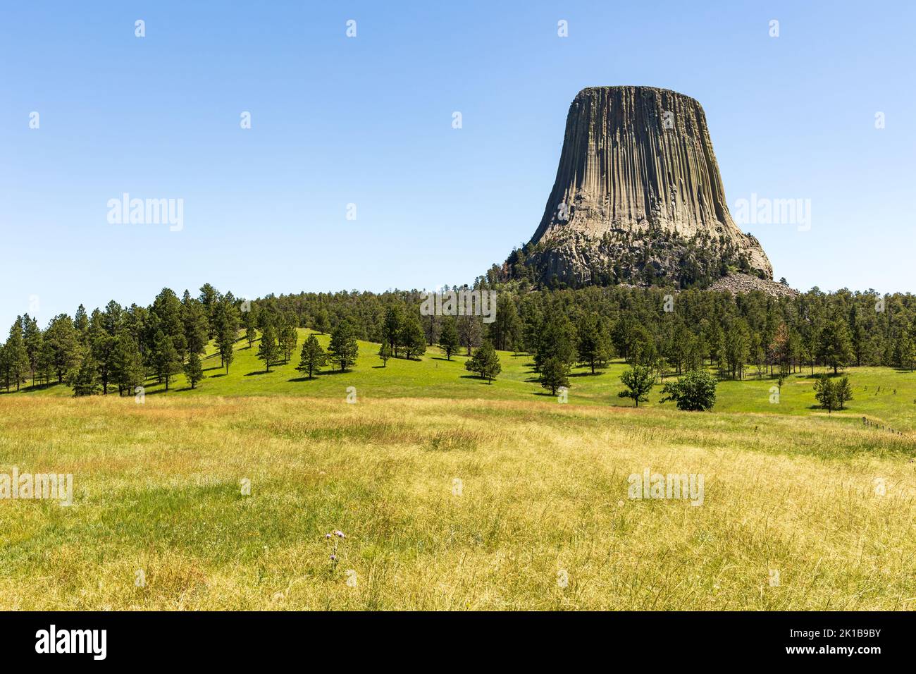 Devils Tower rising above the surrounding landscape, Wyoming, USA Stock Photo