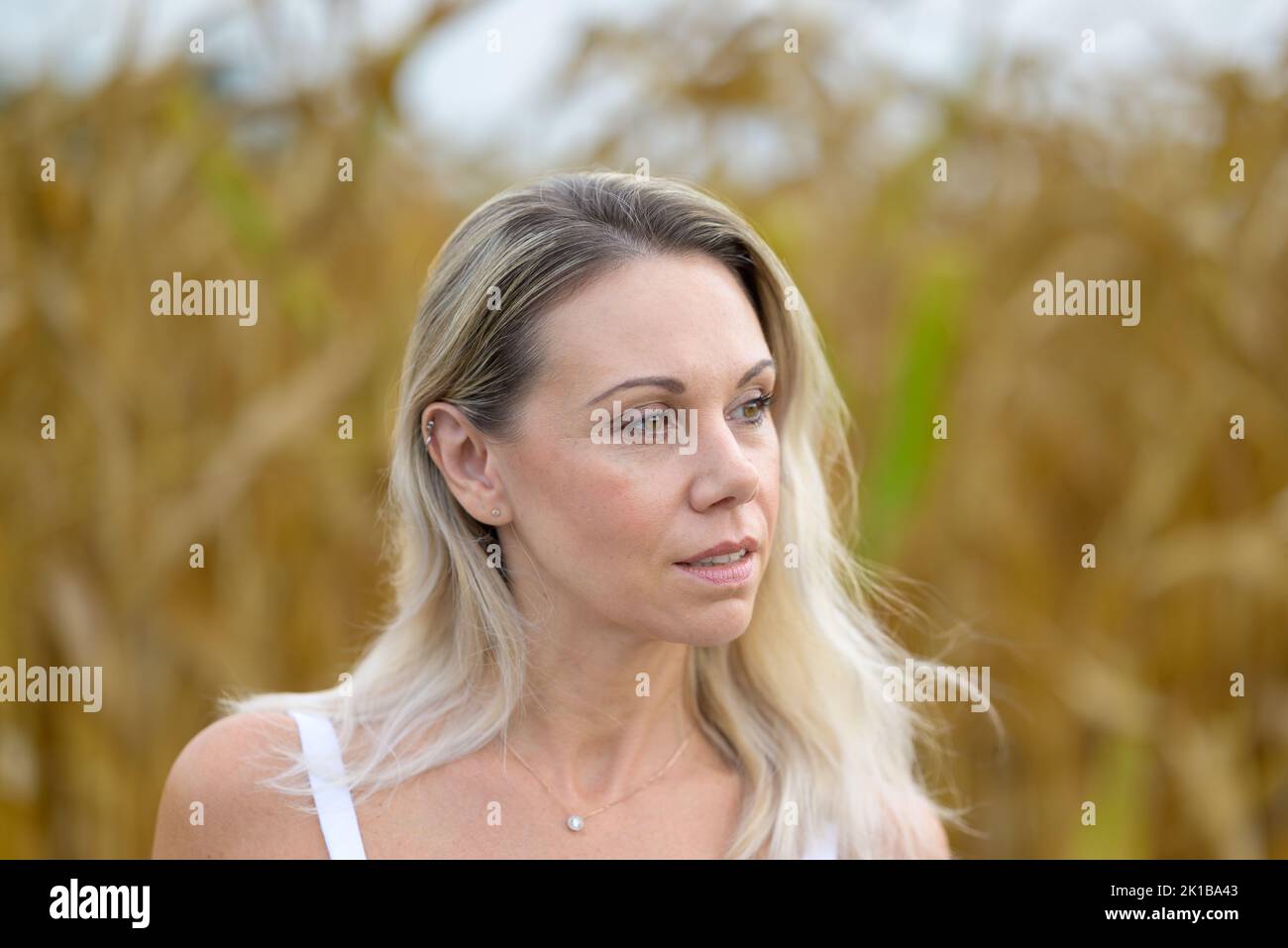 Close up portrait of a beautiful attractive blond woman wearing a white top is standing in the middle of a corn field looking aside Stock Photo