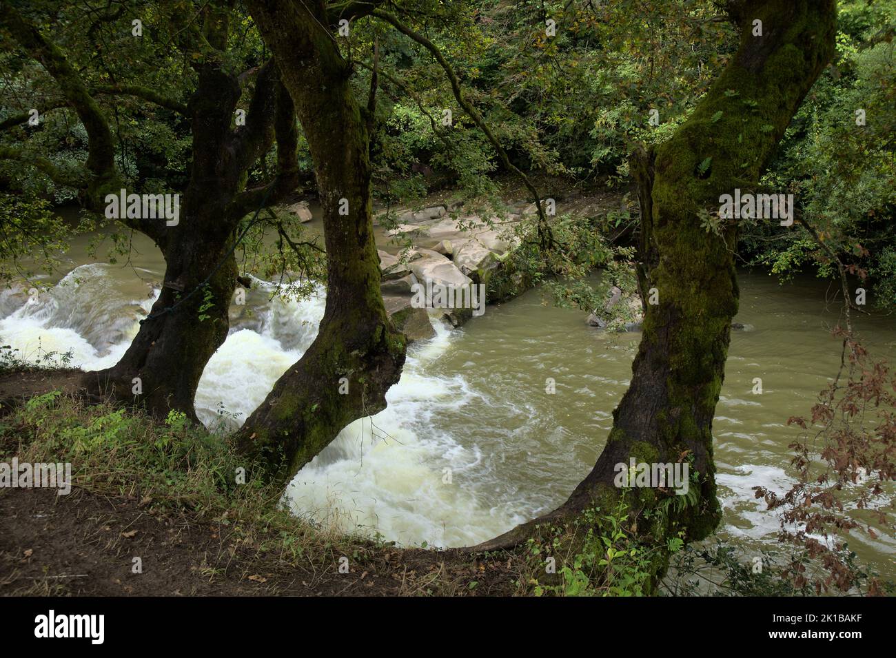 Cantabria in the north of Spain, hiking route around town of Lierganes, river Miera, August Stock Photo