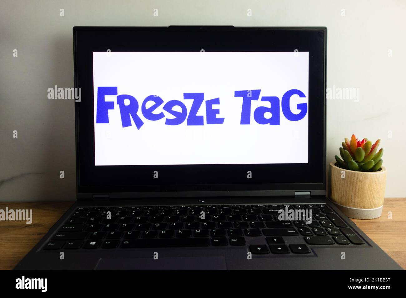 KONSKIE, POLAND - September 12, 2022: Freeze Tag company logo displayed on laptop computer screen Stock Photo