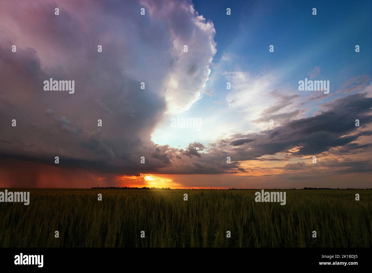 Wheat dawn sun rays sunset hi-res stock photography and images - Alamy