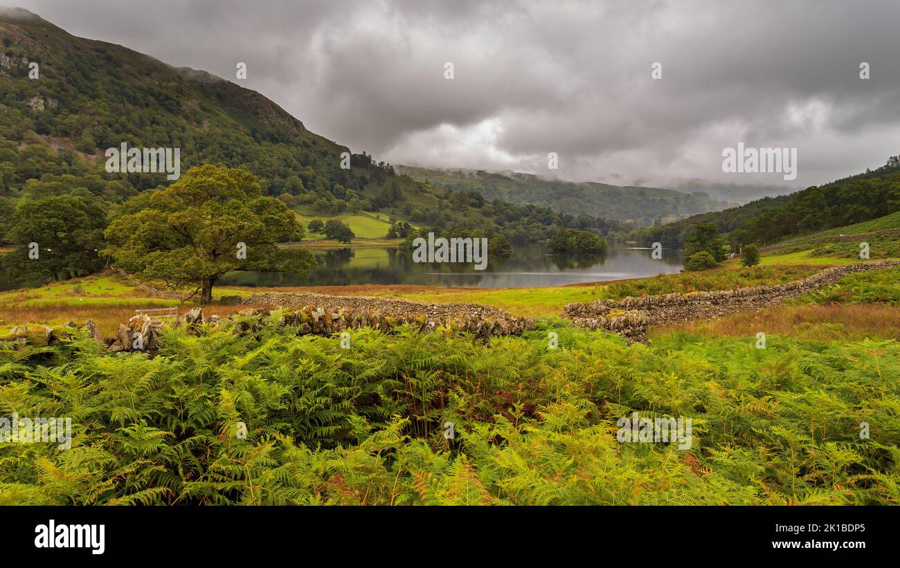 View of the Rydal Water area with, lake in the central part of the English Lake District, between Grasmere and Ambleside in the Rothay Valley. UK. Stock Photo