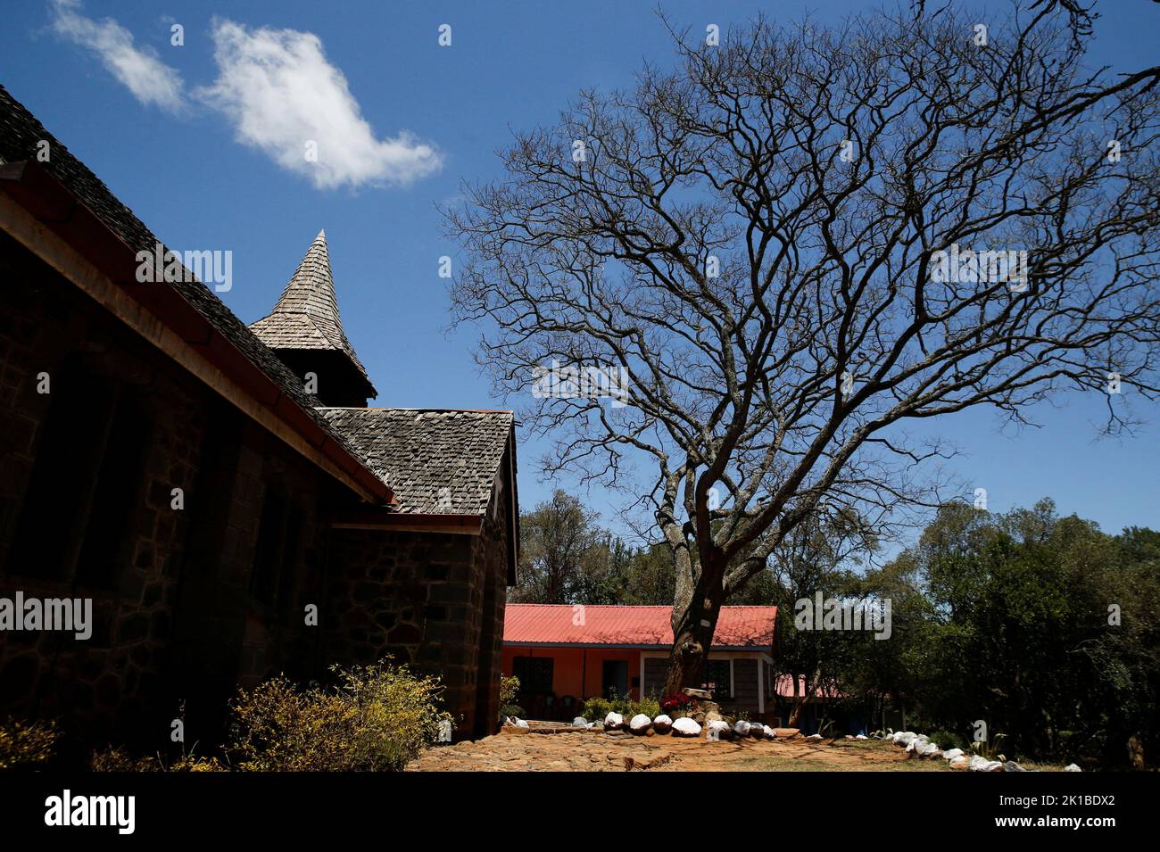 A Brazilian Rosewood tree planted by Major Geoffrey Baynes during the visit by Queen Elizabeth II in February 2, 1952 is seen at the St Philips Anglican Church of Kenya (ACK) during a thanksgiving memorial service for the late Queen Elizabeth II, in Naro Moru, Kenya September 17, 2022. REUTERS/Thomas Mukoya Stock Photo
