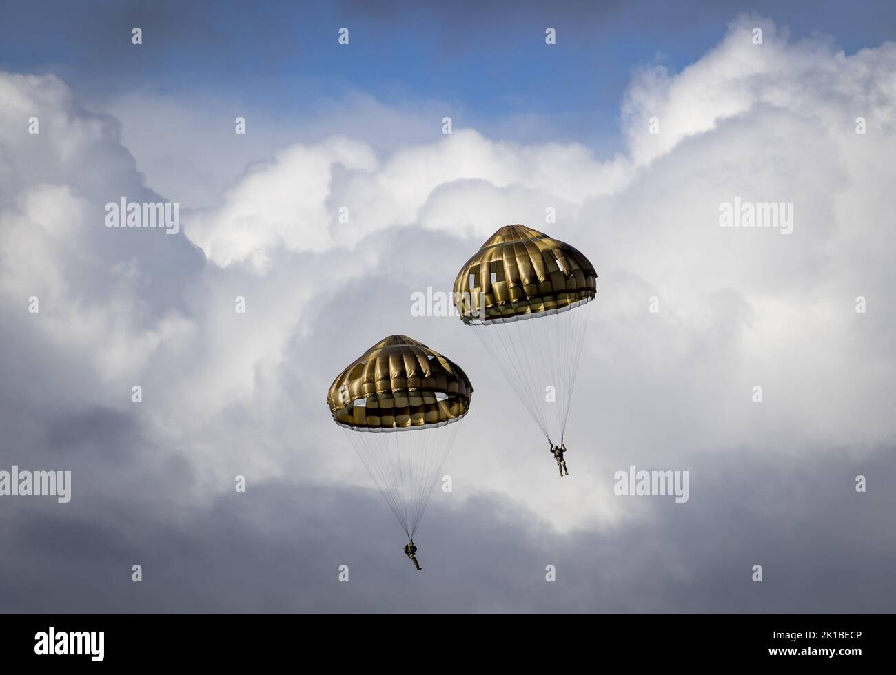 The Golden Parachute of the Polder