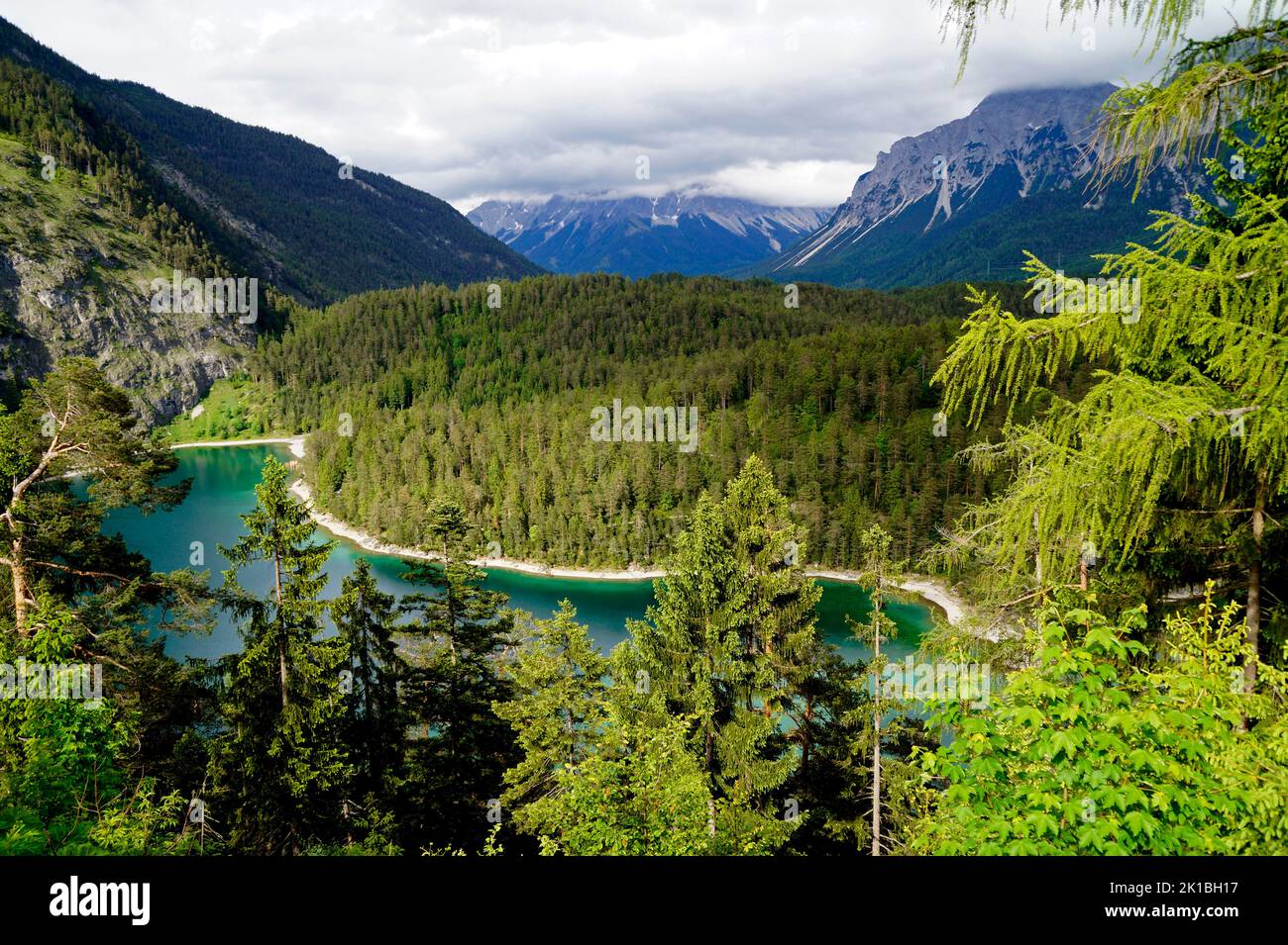 scenic emerald-green alpine lake Blindsee surrounded by lush green ...