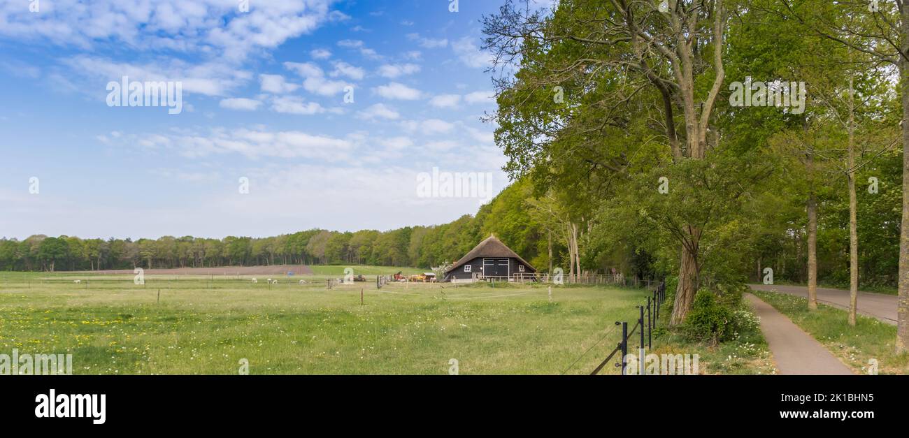 Panorama of a little house at the foot of the Lemelerberg hill in Overijssel, Netherlands Stock Photo