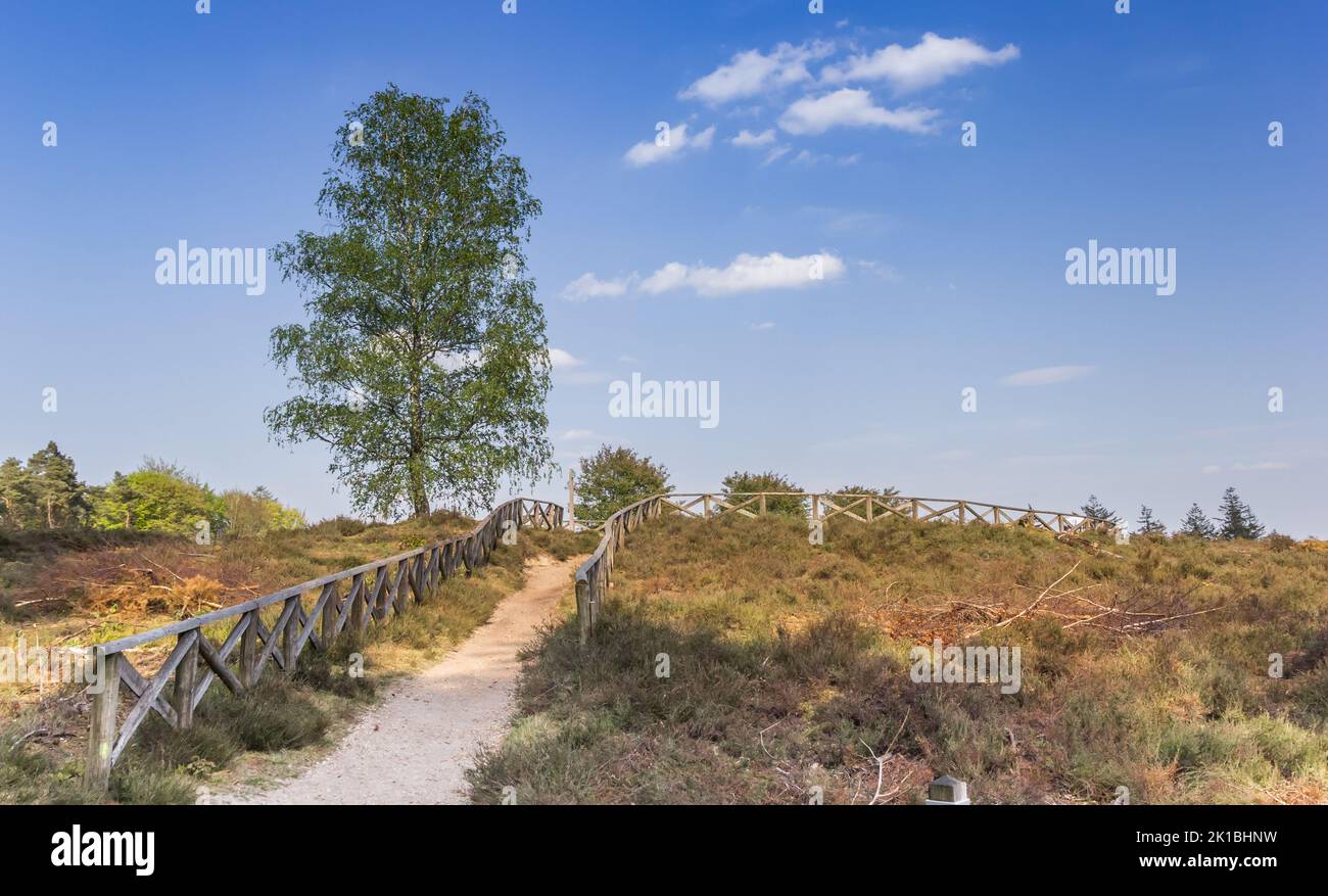 Footpath leading up to the top of the Lemelerberg hill in Overijssel, Netherlands Stock Photo