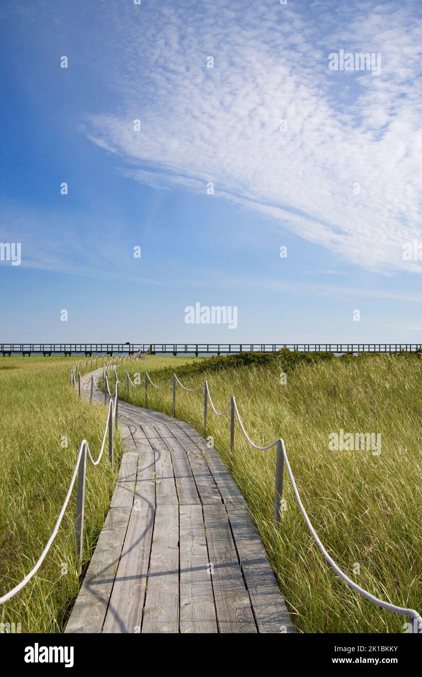 boardwalk through the Irving eco centre bouctouche canada Stock Photo