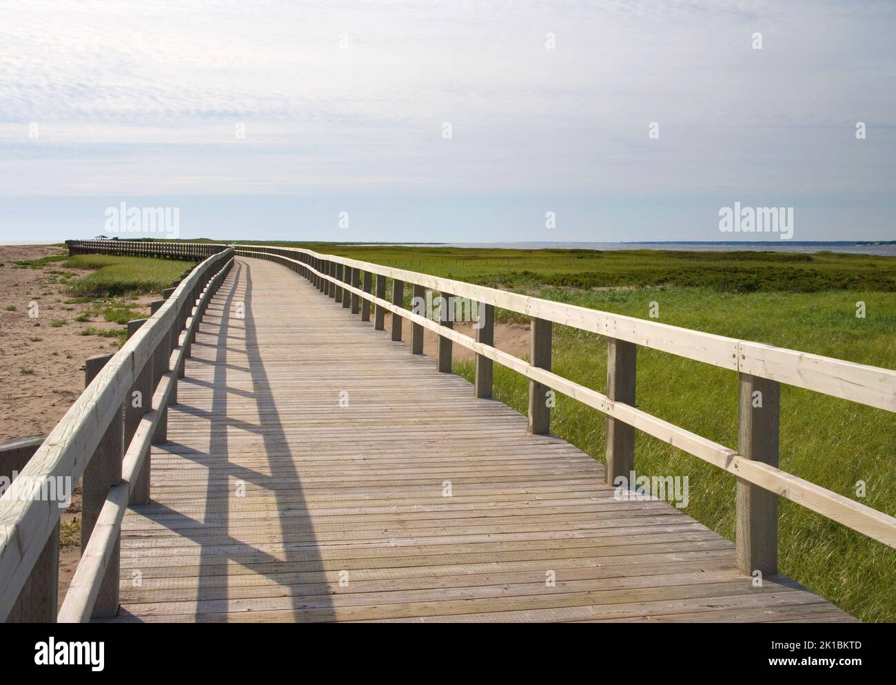 boardwalk through the Irving eco centre bouctouche canada Stock Photo