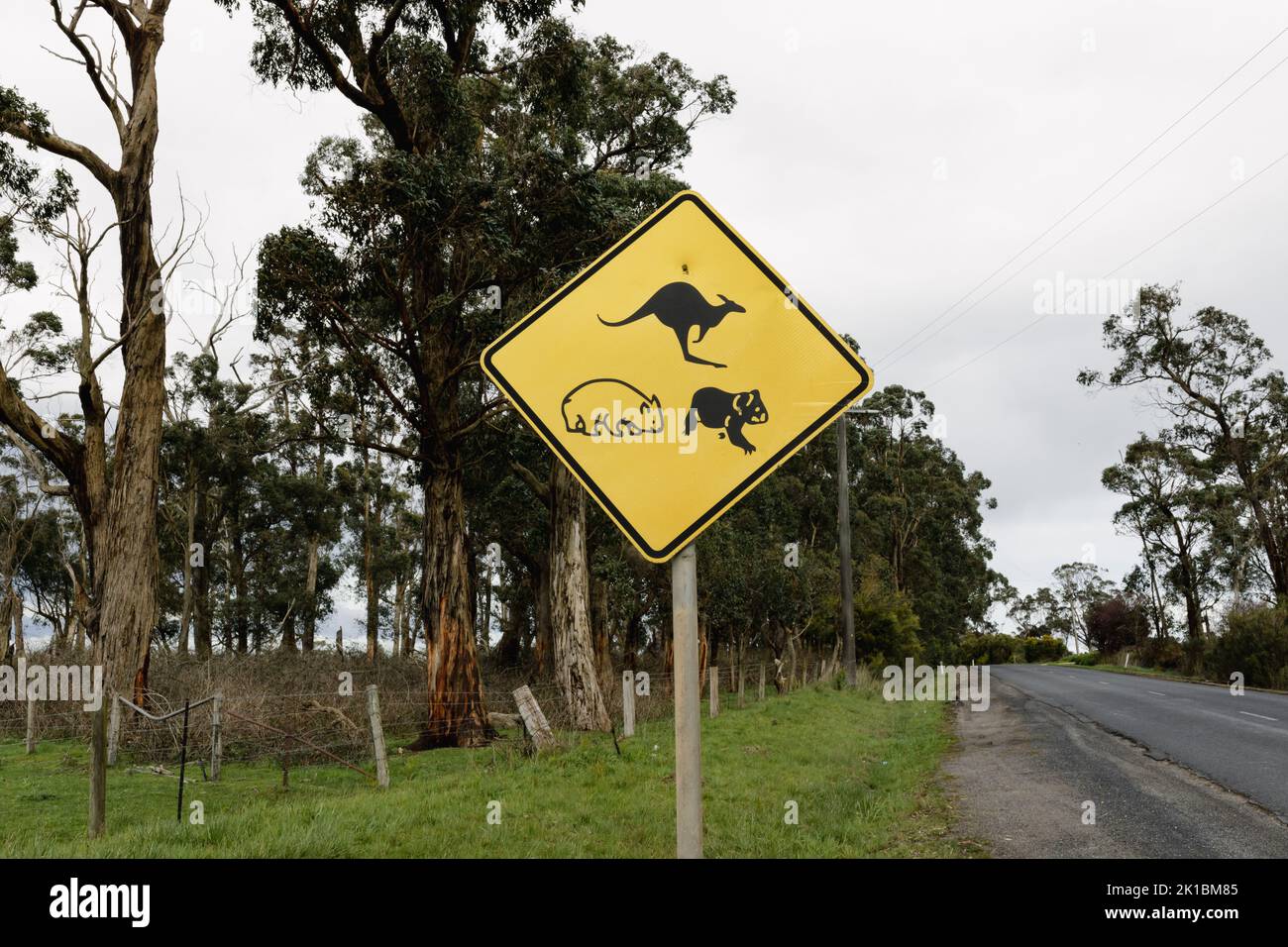 A yellow sign on the side of an Australian road warning traffic of native animals, pictured is a kangaroo, Koala and a wombat.  sign is in the centre Stock Photo