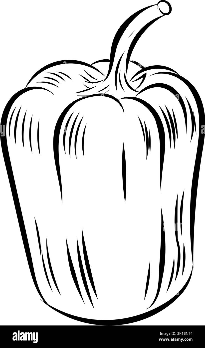 sweet Pepper hand drawn . Sketch Vegetable Stock Vector