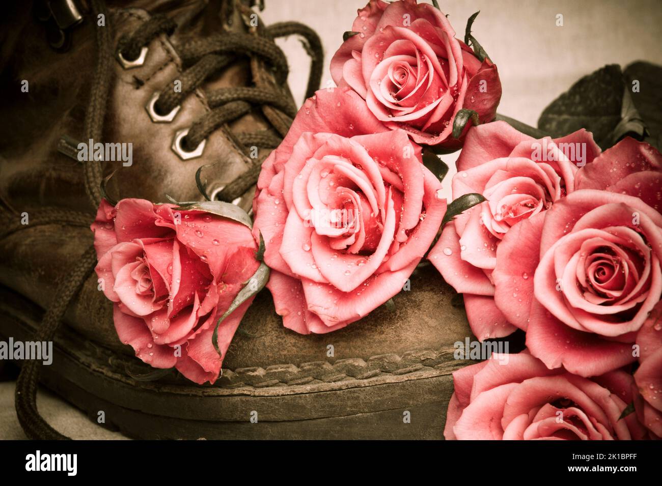 red roses with old retro shoe in vintage style Stock Photo Alamy