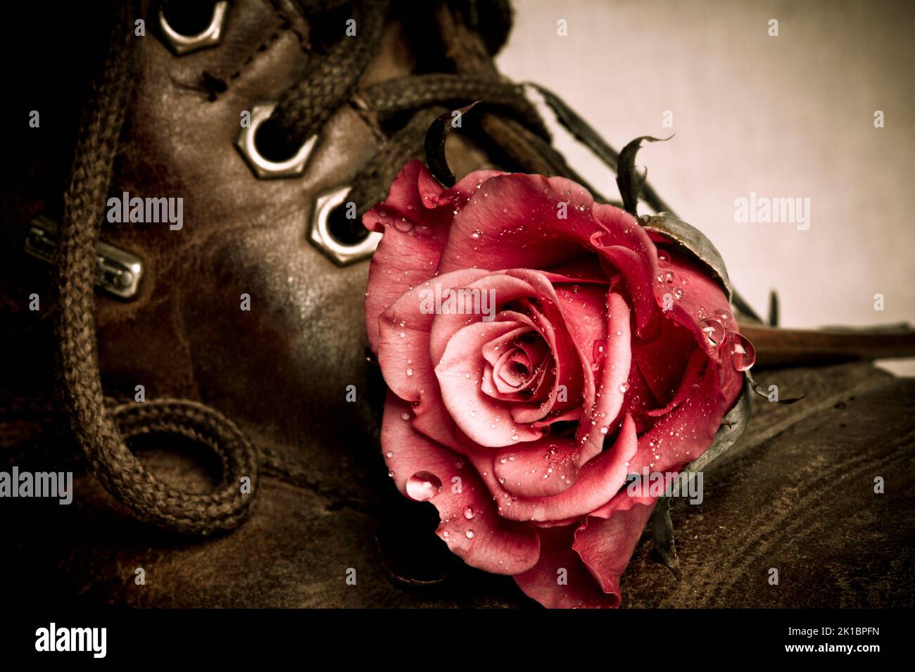 red roses with old retro shoe in vintage style Stock Photo Alamy