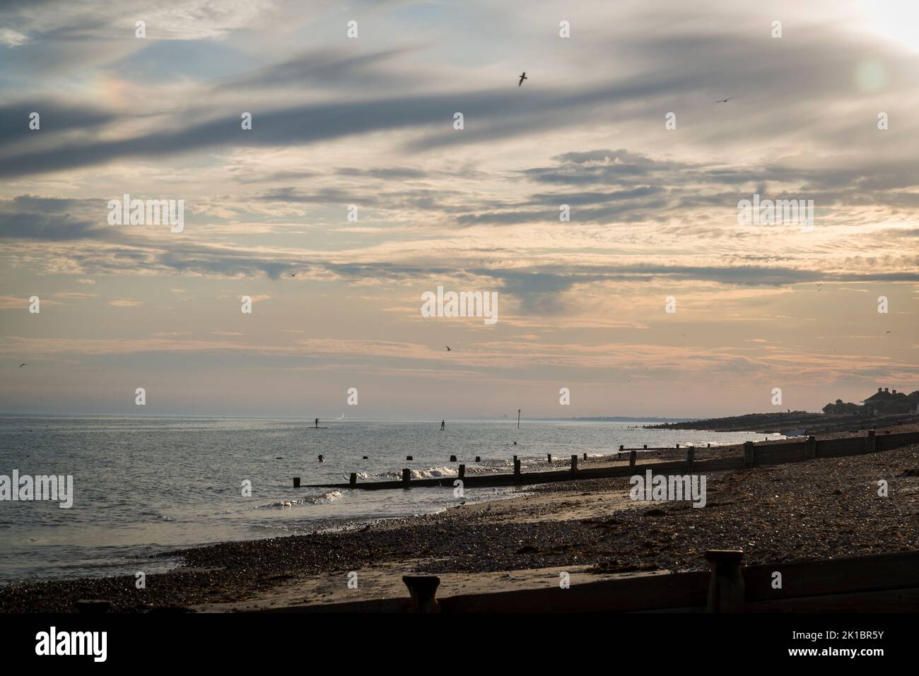 Seashore with groynes preventing beach erosion at Ferring at sunset, West Sussex, England, UK Stock Photo