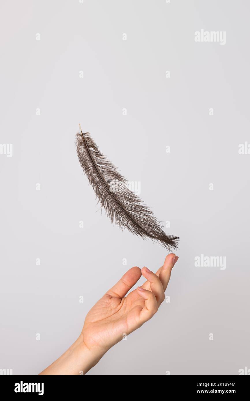 Ostrich feather falling into woman's hand. Inspirational concept Stock