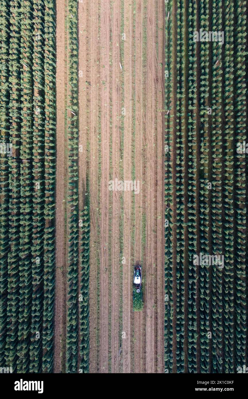 Kriepitz hires stock photography and images Alamy