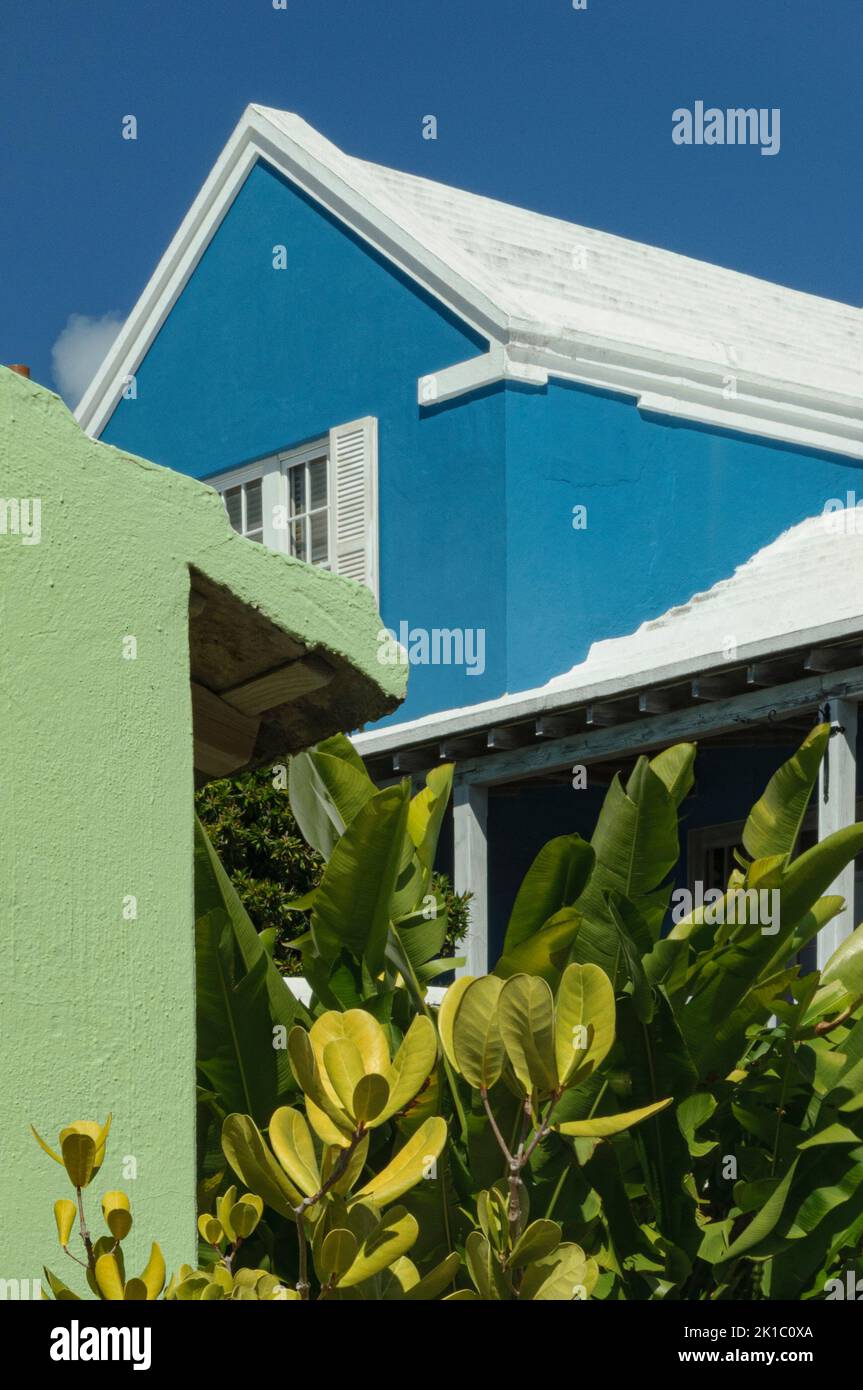 Bermuda Architecture Pastel Green House & Bright Blue House with White Shutters & Roof & Greenery Stock Photo