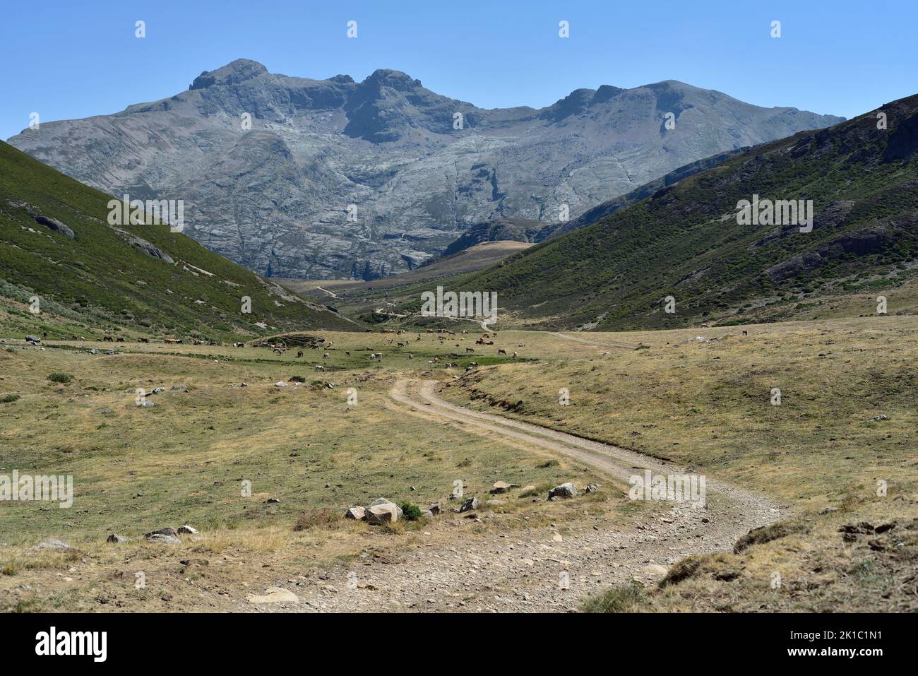 Curavacas, showing the approach from the north. Parque Natural de Fuentes Carrionas, Cantabria, Northern Spain. Stock Photo