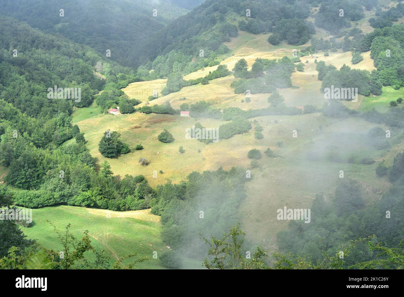 Eye level cloud moving across a meadow near Cucayo, Parque Natural de Fuentes Carrionas. The cloud appears to be threatening to smother the landscape. Stock Photo