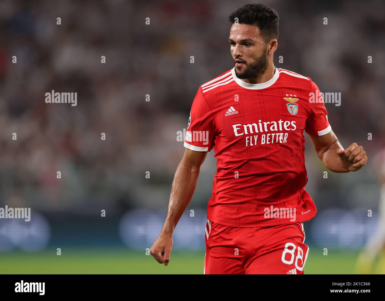 Turin, Italy, 14th September 2022. Goncalo Ramos of SL Benfica during the UEFA Champions League match at Allianz Stadium, Turin. Picture credit should read: Jonathan Moscrop / Sportimage Stock Photo