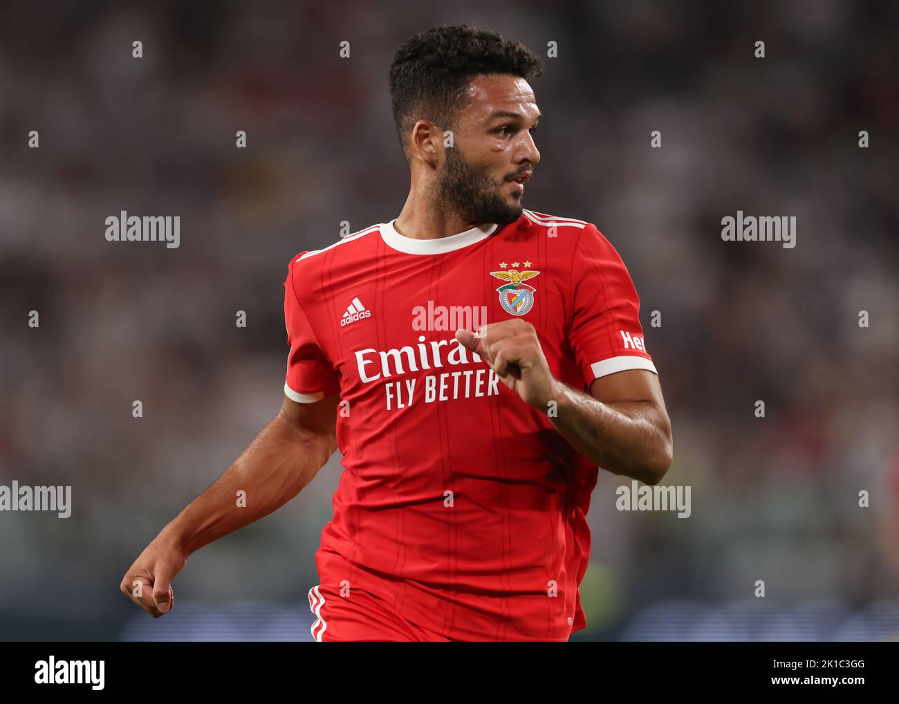 Turin, Italy, 14th September 2022. Goncalo Ramos of SL Benfica during the UEFA Champions League match at Allianz Stadium, Turin. Picture credit should read: Jonathan Moscrop / Sportimage Stock Photo
