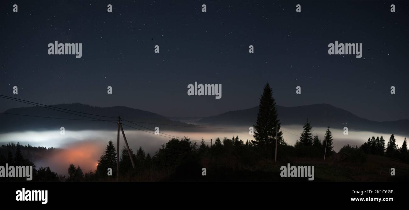 Foggy night tree silhouette hi-res stock photography and images - Alamy