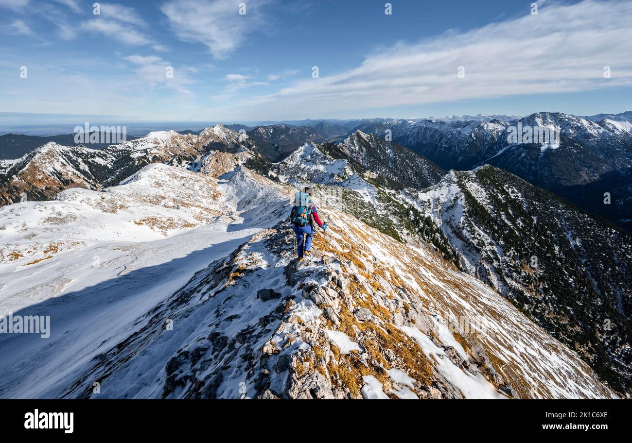 Mountaineer on the narrow rocky snowy ridge of the Ammergauer Hochplatte, view towards Loesertaljoch, view of mountain panorama, hiking to the Stock Photo