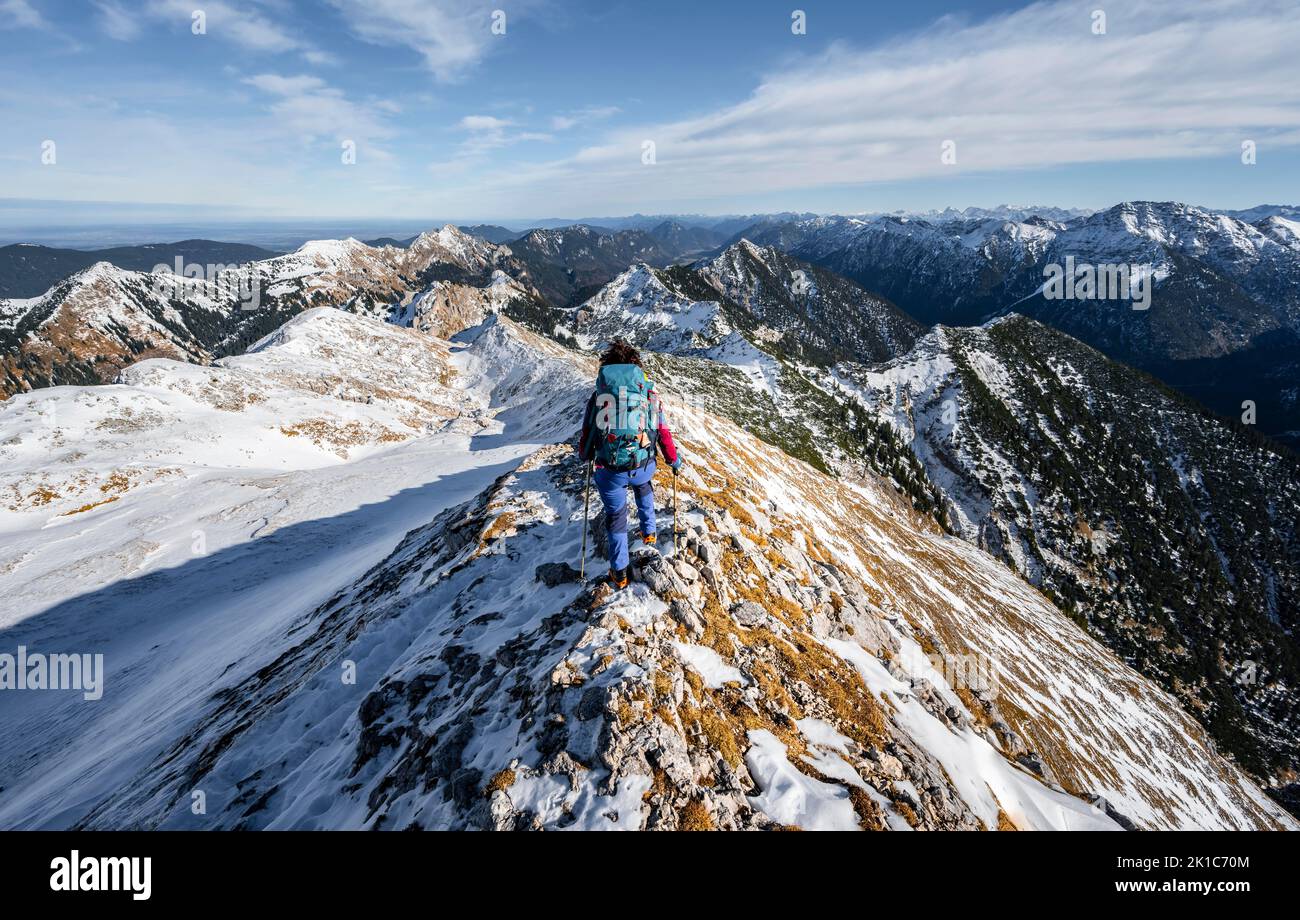 Mountaineer on the narrow rocky snowy ridge of the Ammergauer Hochplatte, view towards Loesertaljoch, view of mountain panorama, hiking to the Stock Photo
