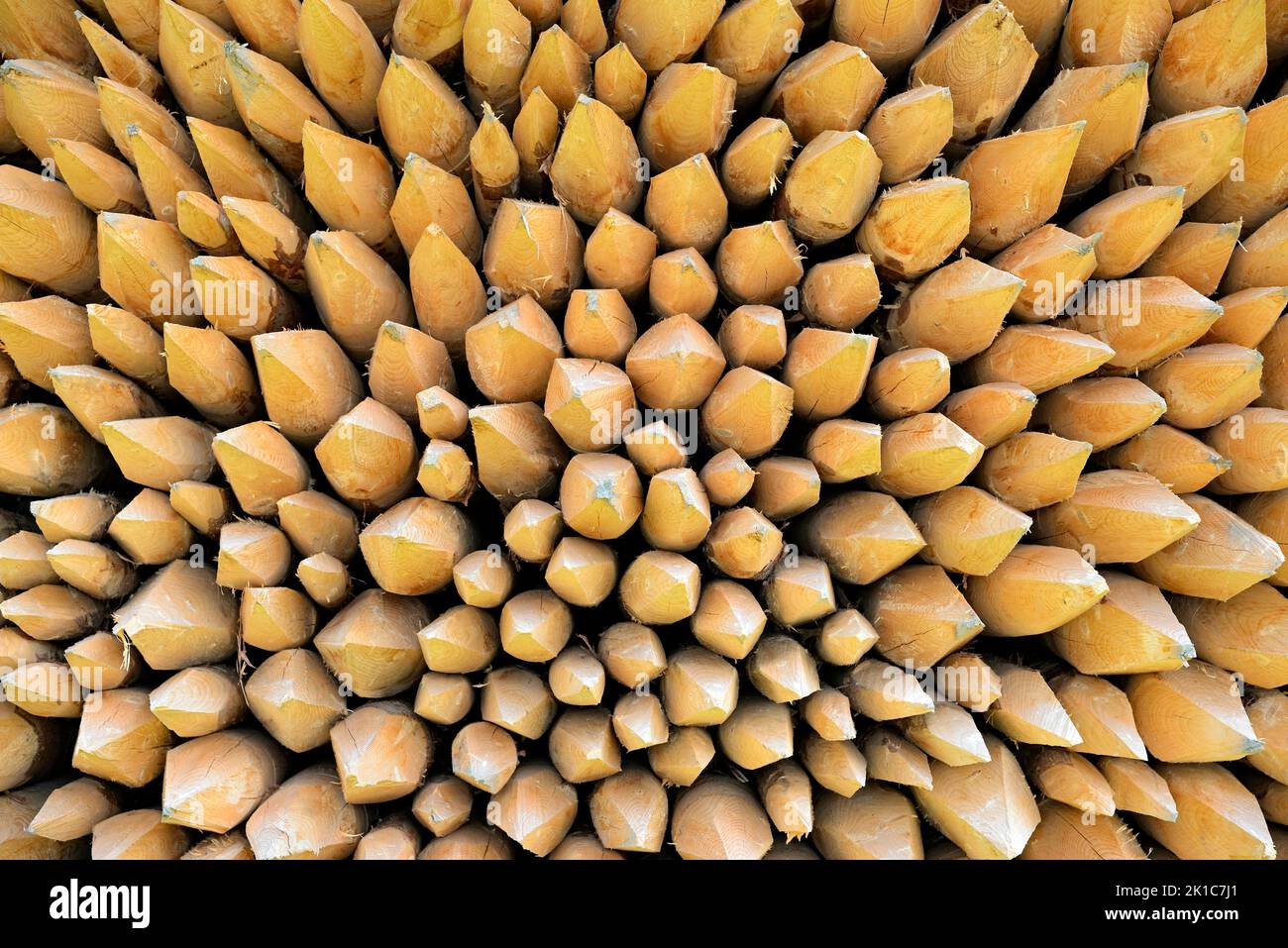 Stacked fence posts with sharpened ends, Bavaria, Germany Stock Photo