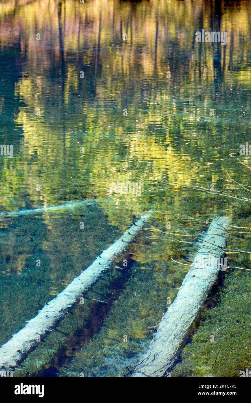 Mountain lake, Christlessee with clear turquoise water, tree trunks at the bottom of the lake, Trettachtal near Oberstdorf, Allgaeu Alps, Allgaeu Stock Photo