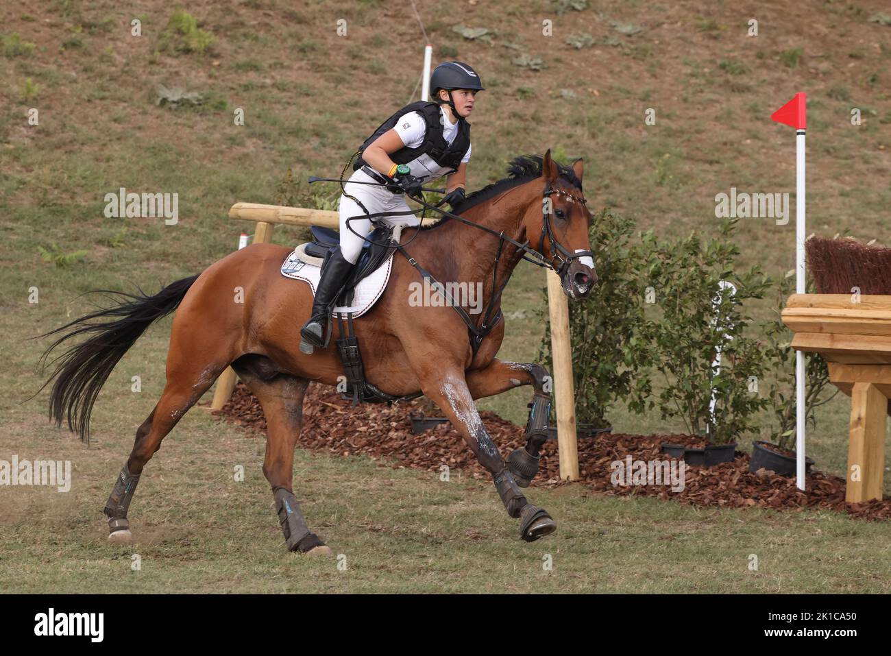 Alina dibowski hi-res stock photography and images - Alamy