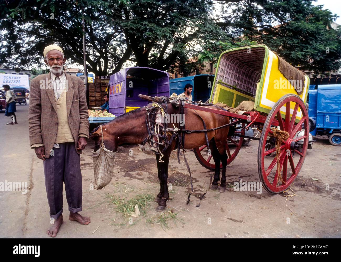 An old man with his horse cart jatka in Bengaluru Bangalore, Karnataka, South India, India, Asia Stock Photo