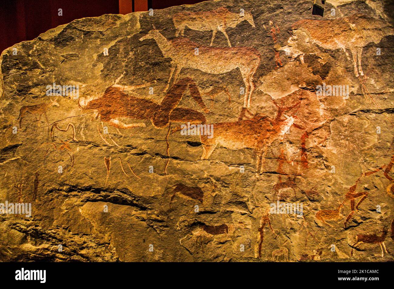 Cave painting, Linton panel, is one of the most amazing and finely