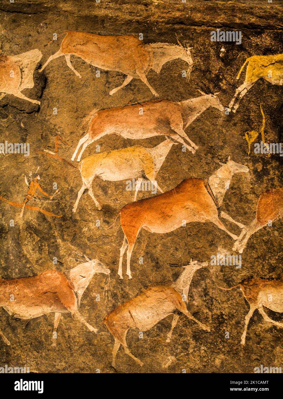 Cave painting, Linton panel, is one of the most amazing and finely