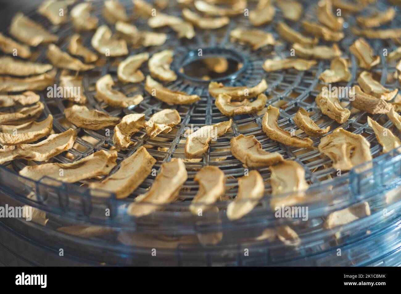 Drying sliced apples. Goodies for a rainy day. A device for drying