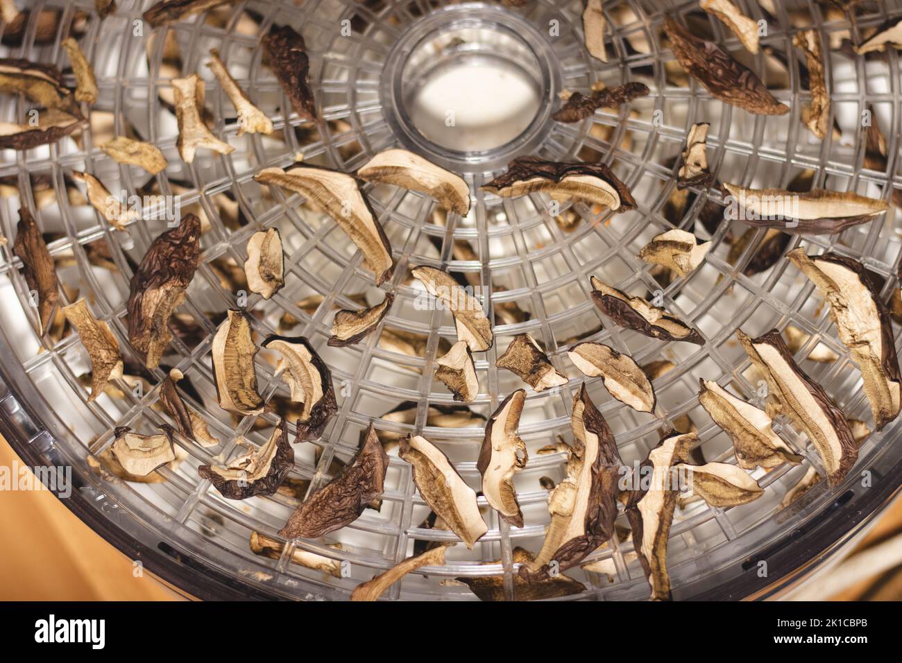 Food Dehydrator Drying Mushrooms Stock Photo - Download Image Now