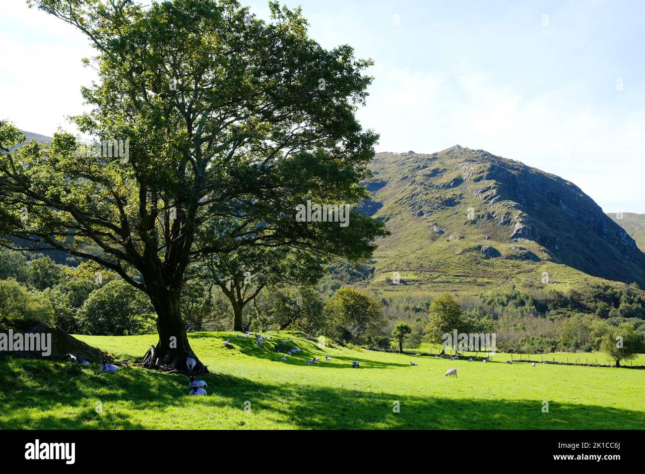 Farmland in Gleninchaquin Park, County Kerry, Ireland - John Gollop Stock Photo
