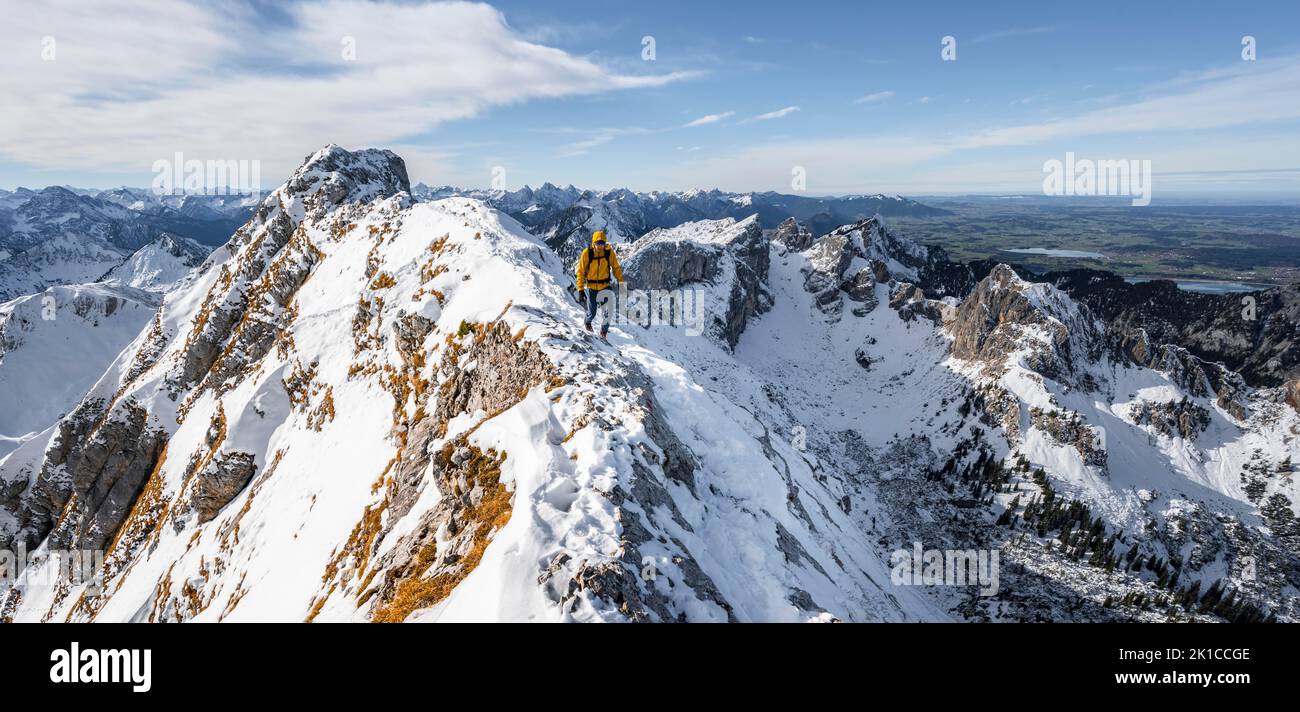 Climbers on a narrow rocky snowy ridge, behind peak crow, view of mountain panorama, hiking to Ammergauer Hochplatte, in autumn, Ammergau Alps Stock Photo